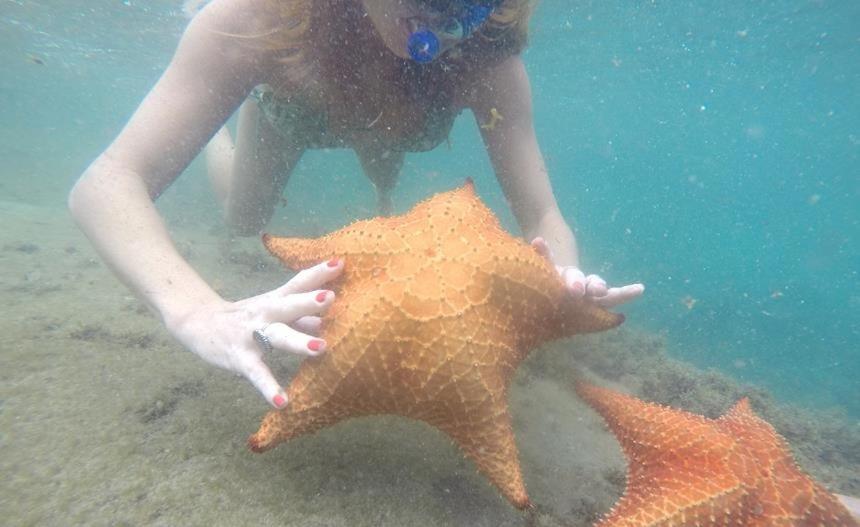 Kitnet Aconchegante A 200M Da Praia Leilighet Angra dos Reis Eksteriør bilde